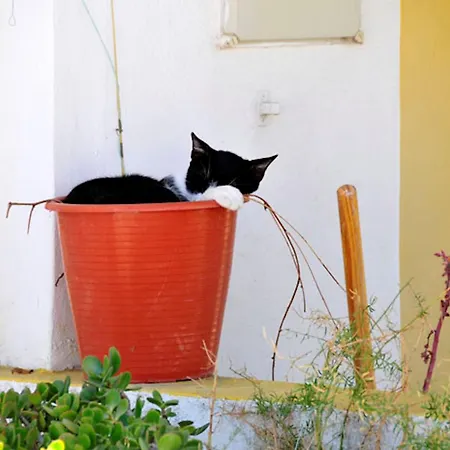 Charming Vale Do Lobo Retreat 3 Bedrooms Private Pool Close To Amenities Algarve * Almancil
